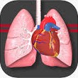 sts cardiothoracic surgery